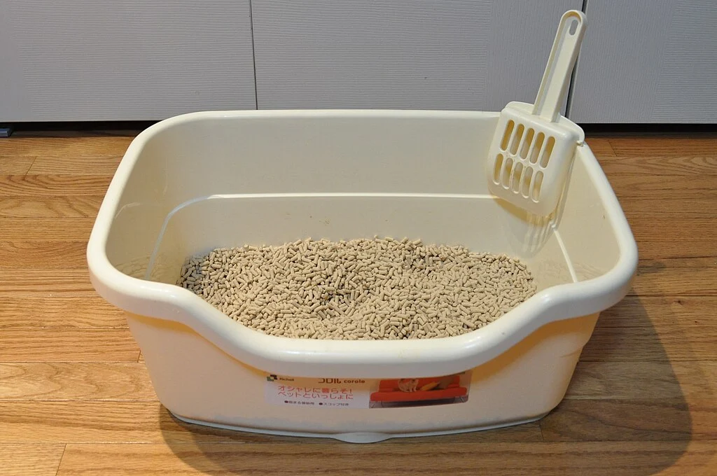 Uma caixa de areia para gatos cheia de areia para gatos de lascas de madeira padrão. Uma dica de desinfectante natural é a mistura de vinagre e bicarbonato de sódio, um dos truques caseiros de limpeza segura para pets.